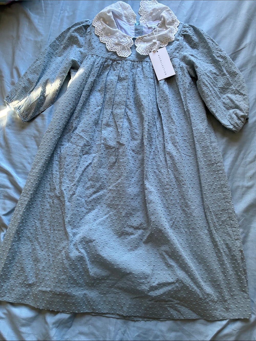 Pale Blue Swiss Dot Dress with Lace Collar
